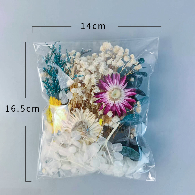 1pack Veelsoortige Gedroogde B - Craft Embellishments recensie en prijs